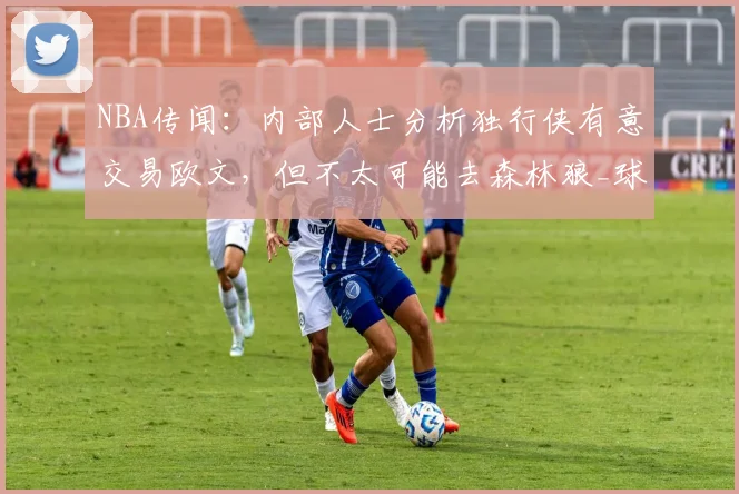 NBA传闻:内部人士分析独行侠有意交易欧文,但不太可能去森林狼_球员_1_小牛