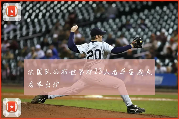 法国队公布世界杯23人名单备战大名单出炉