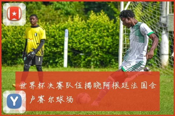 世界杯决赛队伍揭晓阿根廷法国会师卢赛尔球场