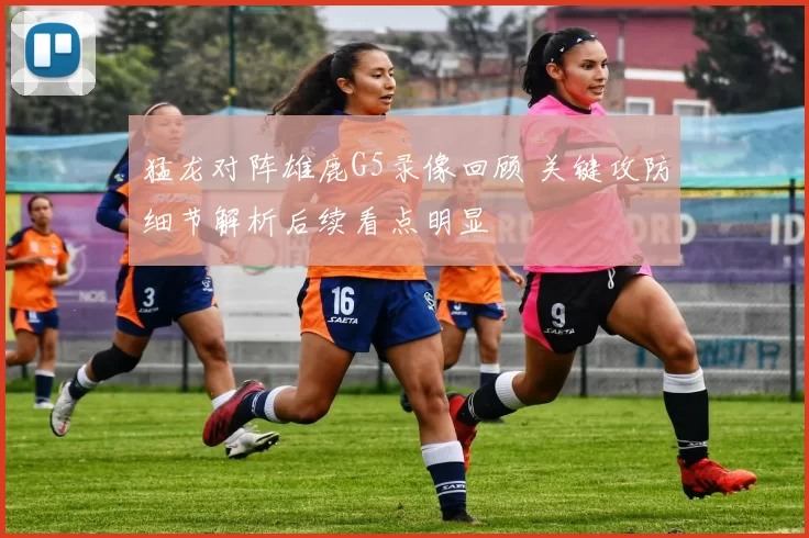 猛龙对阵雄鹿G5录像回顾 关键攻防细节解析后续看点明显