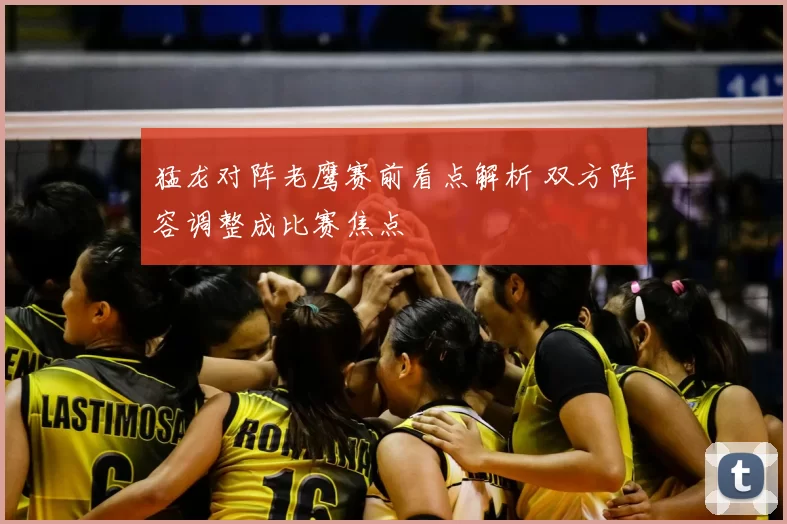 猛龙对阵老鹰赛前看点解析 双方阵容调整成比赛焦点