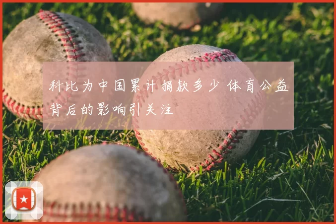 科比为中国累计捐款多少 体育公益背后的影响引关注