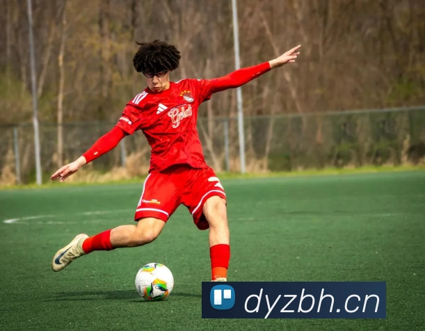 半岛在线官网品牌故事