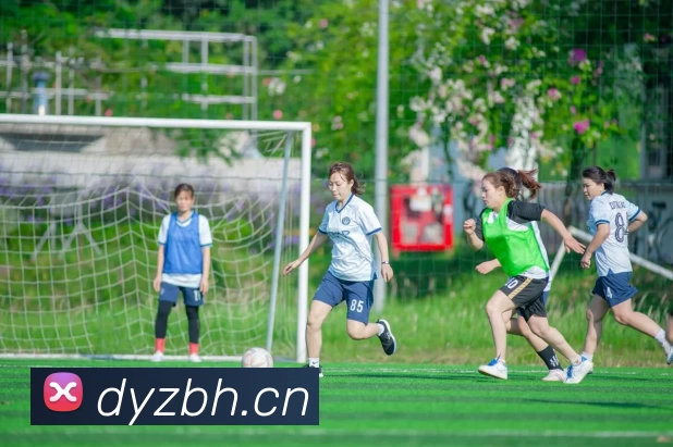 半岛在线官网服务体系